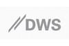 DWS (Real Estate Homepage)
